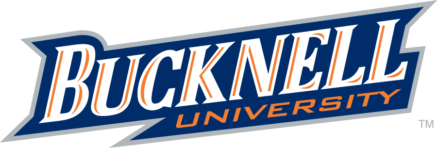 Bucknell Bison 2011-Pres Wordmark Logo diy iron on heat transfer